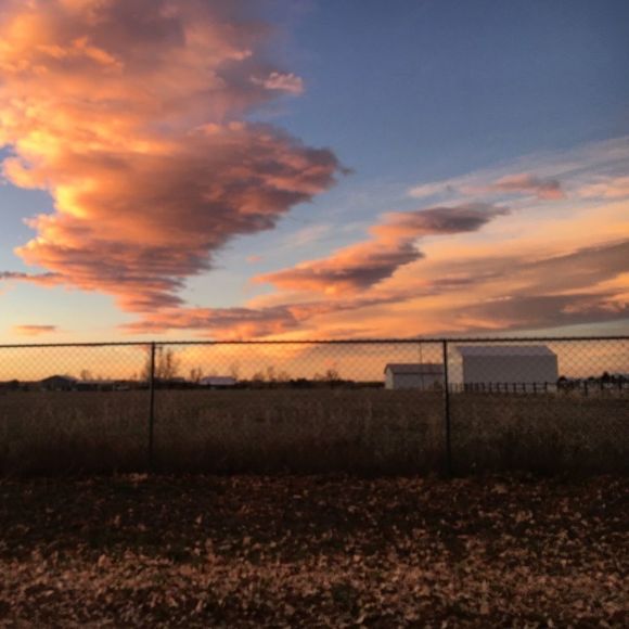 About Wild Arrow - Picture 5 of 6